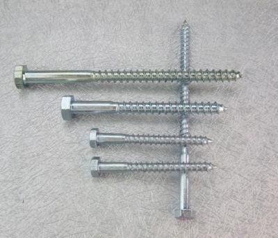 Hex Head Screw Wood Hex Head Coach Screw DIN571 Wood Screw Zinc Plated Lag Screw