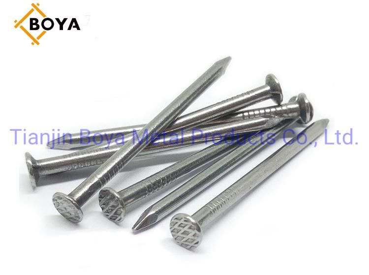 Common Round Head Iron Wire Nail Made in China