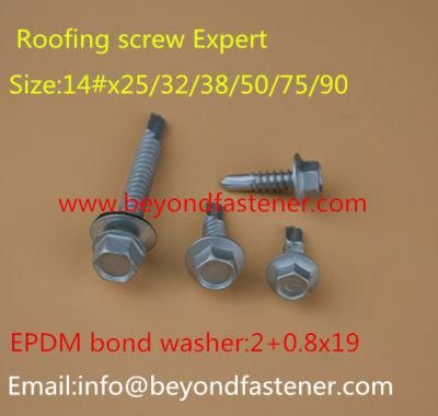 Ruspert Screw Roofing Screw Bolts Fastener Buildex Screw