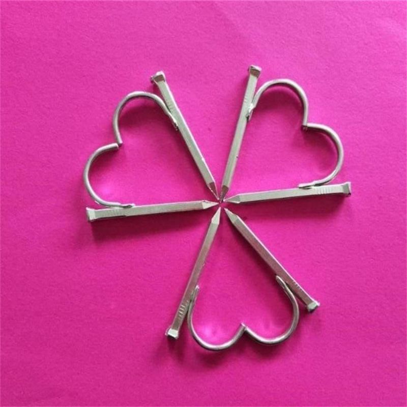 Pipe Fixing Card Fixing Hook 4-6 - PPR Pipe Hook Nail