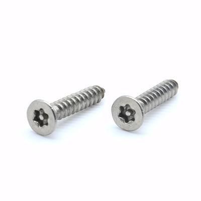 Stainless Steel 304 St4 Torx Csk Head Self Tapping Screw