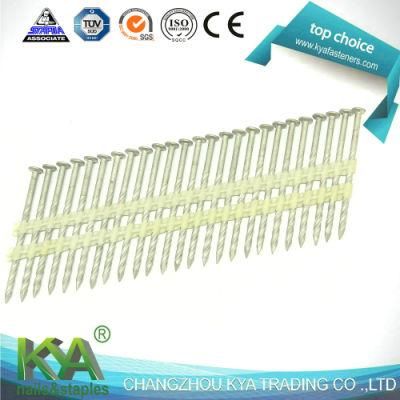 Hot-DIP Galvanized Plastic Strip Framing Nails