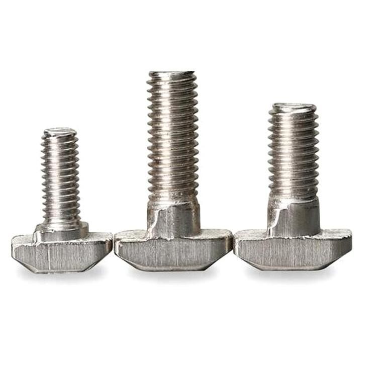 DIN787 T-Bolt T Bolt T Head Bolt Hammer Bolt 304 316