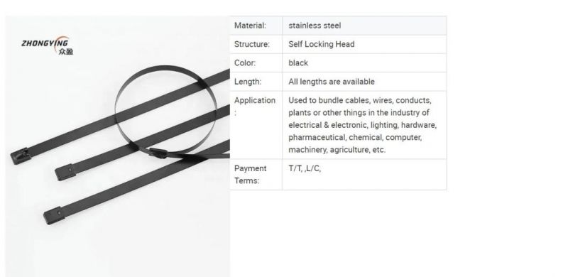 New Design Custom 4.6*550mm Releasable Spray Plastic Stainless Steel 304 Cable Tie