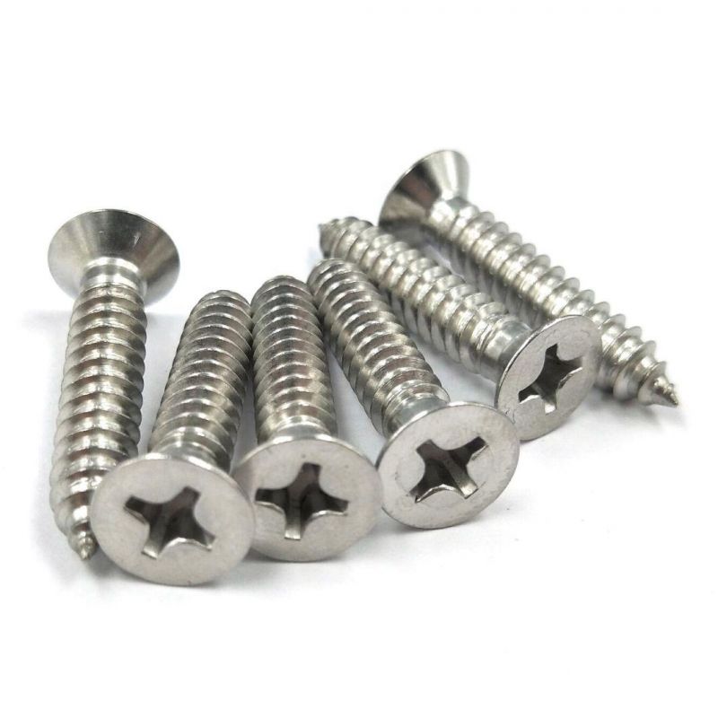 DIN7982 Phillip Flat Head Round Head Countersunk Head Self Tapping Screw. Stainless Steel 304