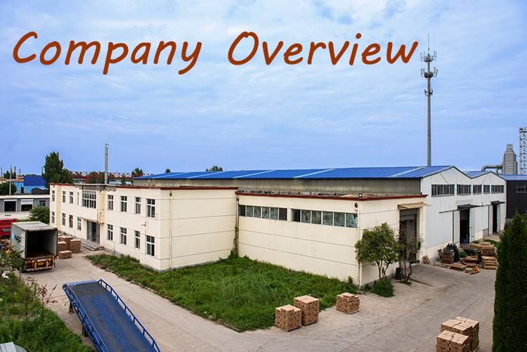 Wholesale Pallet Coil Nails Screw Shank