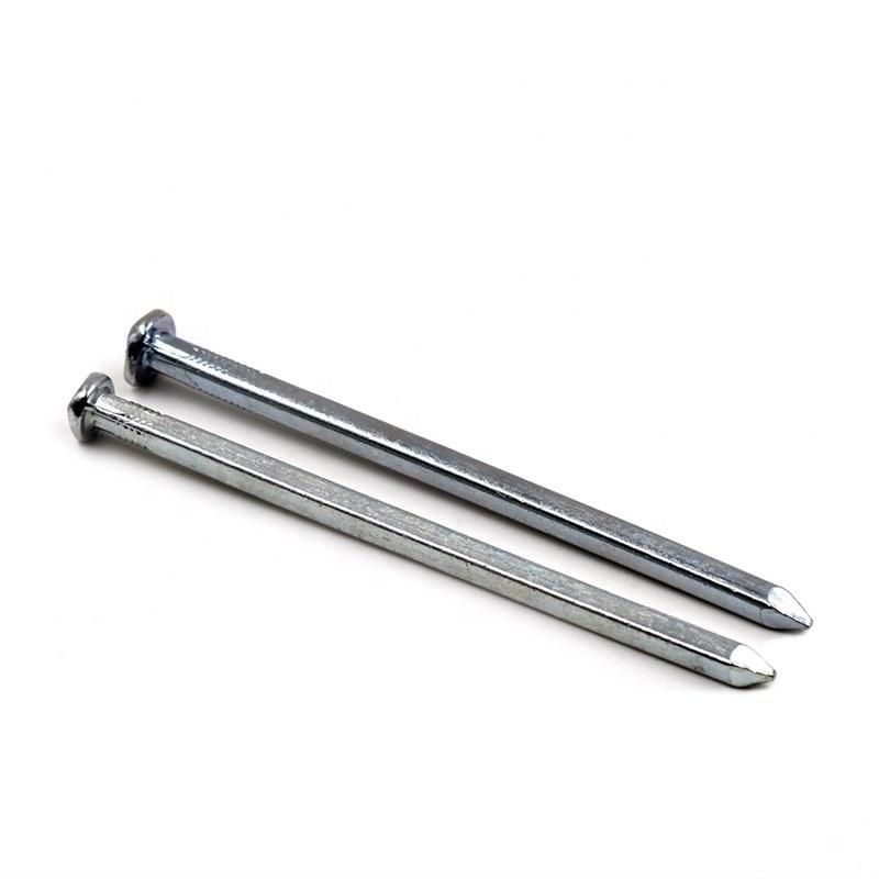 Electro Galvanized Square Boat Nail for Construction