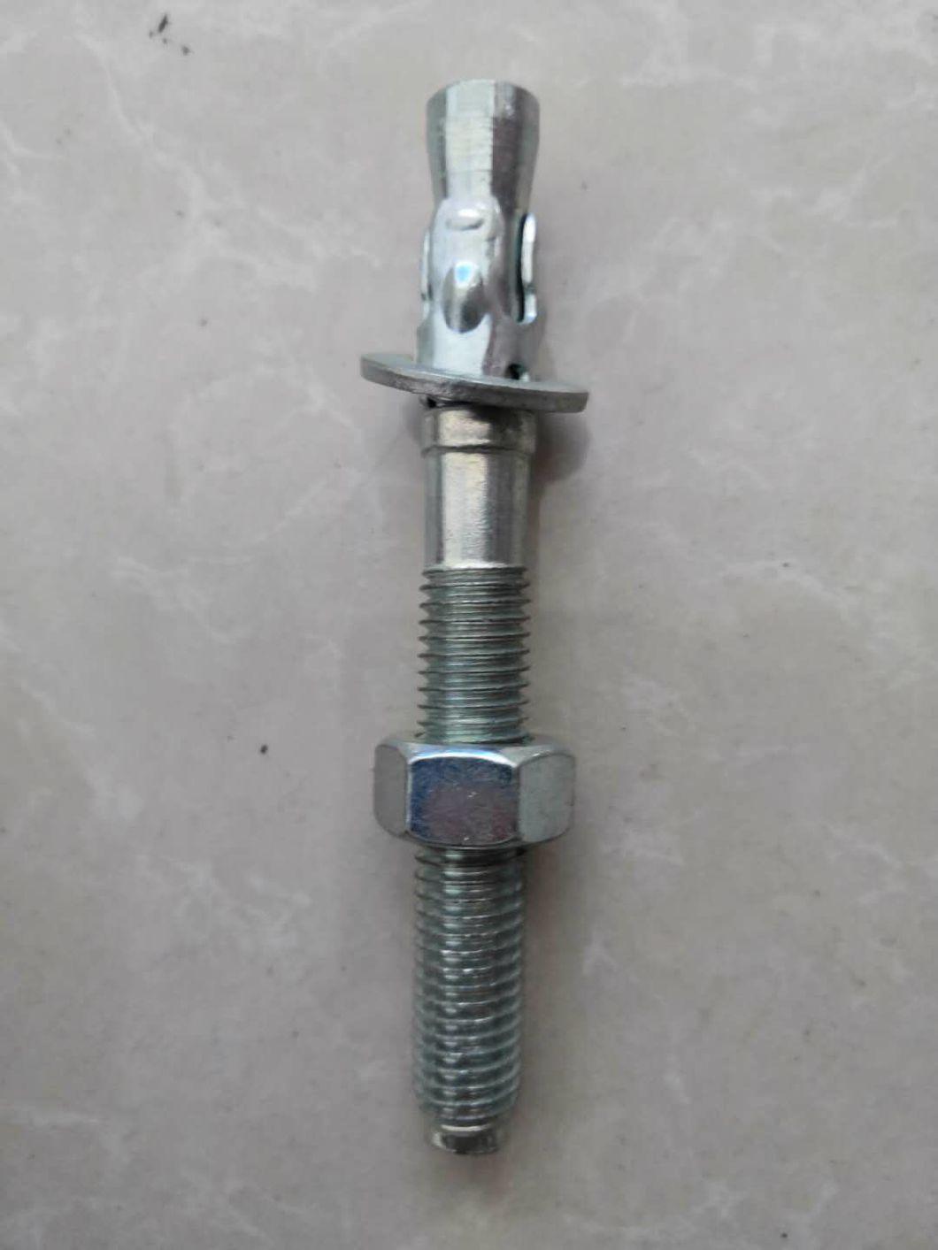 Stainless Steel/Carbon Steel Anchor Bolr/Expantion Bolt