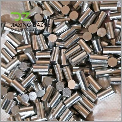Stainless Steel Rivet