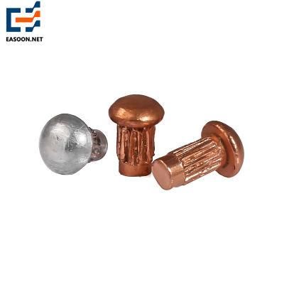 Plate Rivet Signs Rivet for Motorcycle Parts Vertical Grain Rivet, Cup Head Rivet, Half-Round Head Rivet, Solid Rivet, Sign Rivet