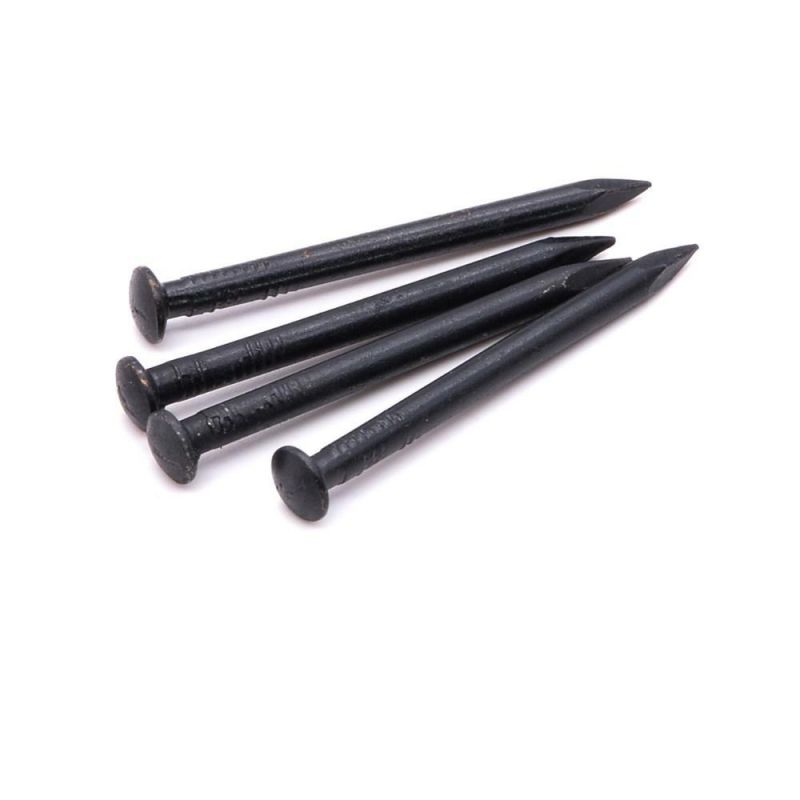 Best Quality Black Steel Concrete Nails 1"-4" Concrete Nails South Africa Market