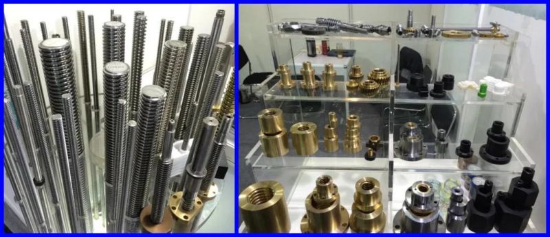 High Speed Hollow Trapezoidal Thread Lead Screw with POM Screw Nut