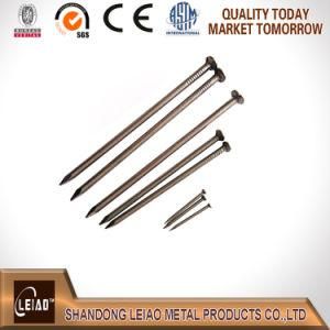 Q195 Polished Common Wire Nail