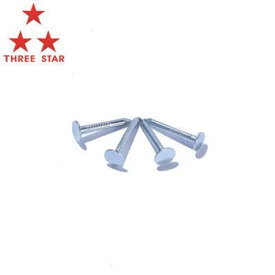High Quality Harden Electric Galvanized Clout Nail