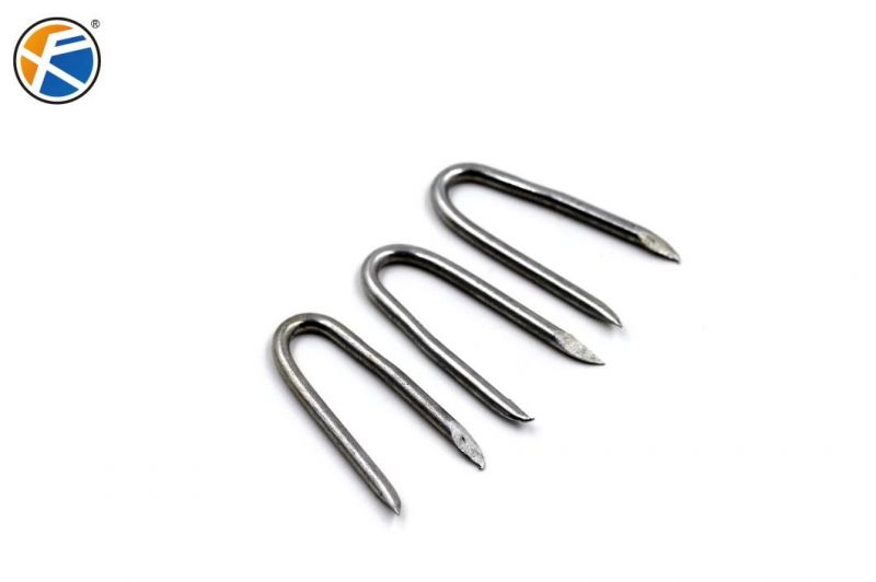 Stainless Steel U Bolt/Construction Use Wooden Nails U Shaped Nail