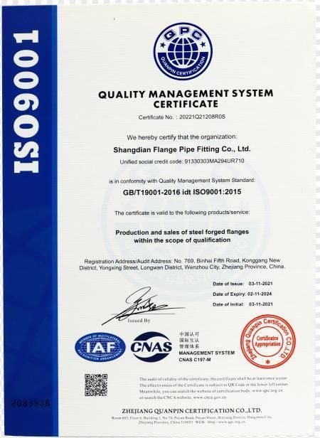 Sop Stainless Steel JIS 5K Flat Flange 150 FF Plate Flange