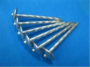 Umbrella Head Roofing Nail