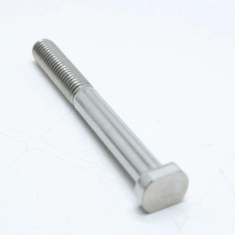Stainless Steel 304 316 M6-M39 Half Thread T Head Bolt
