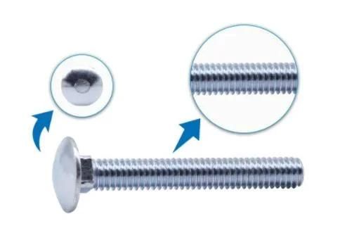 Made in China Bulk Packing with Mushroom Head and Square Neck Carriage Bolt
