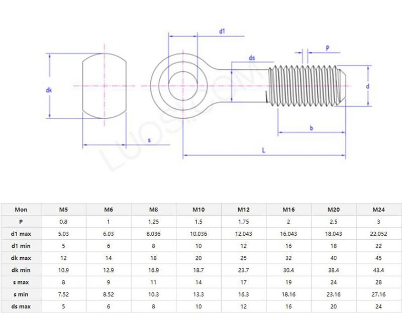DIN/GB/ASTM SS304/316 Hardware Fastener Full Size Eye Bolt