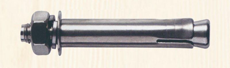 Stainless Steel Bolt Anchor