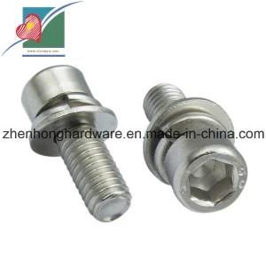 Nickel Plating Inner Hexagon Bolt with Spring Washer (ZH-FB-071)