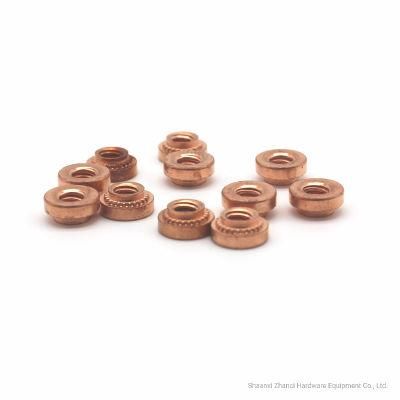 GB17880.5 Small Brass Knurled Rivet Nut and Bolt Finished Fastener