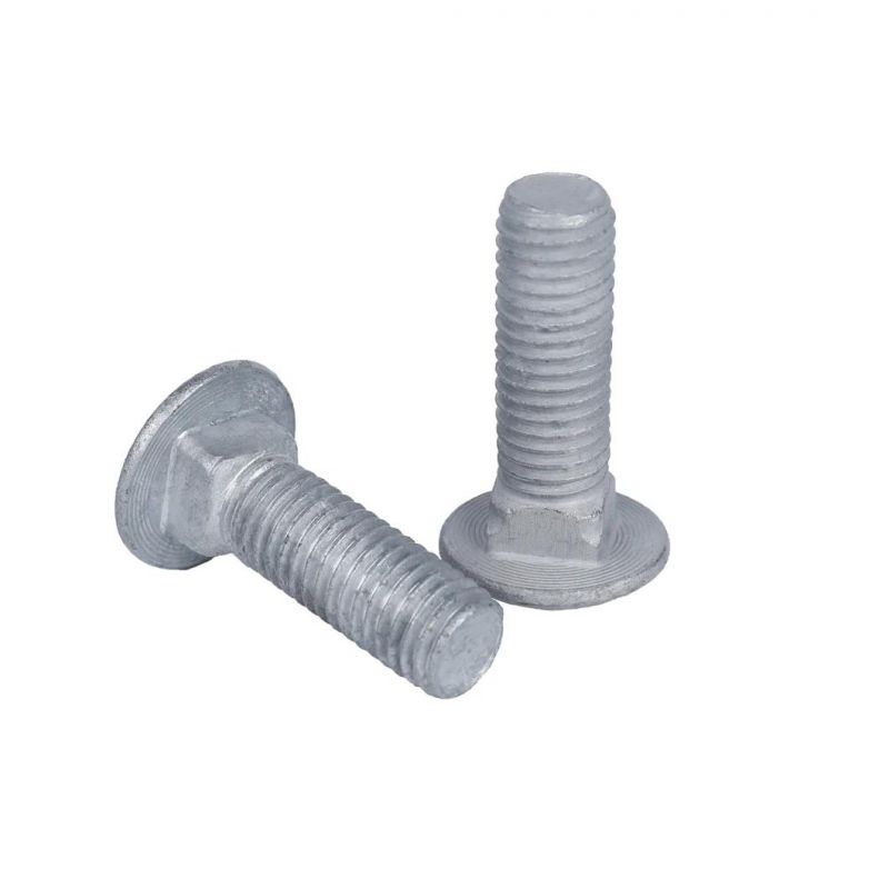 Carbon Steel Galvanized, Stainless Steel Round Head Square Neck Carriage Bolts