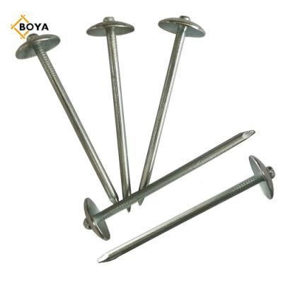 Hot Sale Q235 Iron Nail Perfect Quality Electric Galvanized Roofing Nail with Plain Shank and Twisted Shank
