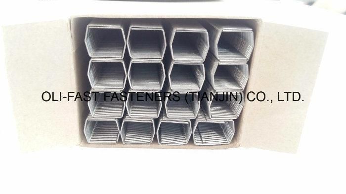 Fasco Staples Eb-Sccr25 Staples, 23ga, 1/4" Leg
