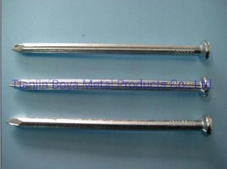 Best Quality Polished Common Nail for Construction