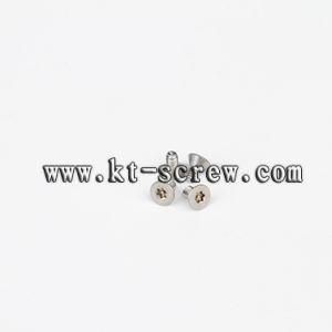 Security Screw of High Spray Test Stainless Steel Screw