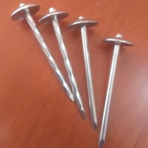 Linyi Manufacturer 9gx2&quot; Umbrella Head Plain Shank Roofing Nail