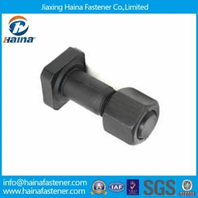 12.9 Grade Black Bolt &amp; Nut in Heavy Duty (Square head)