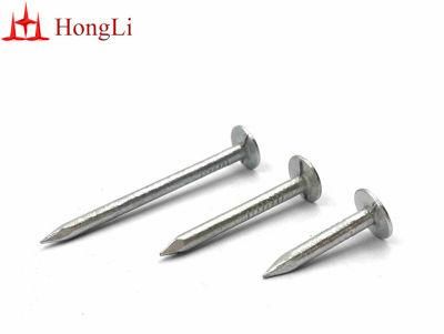 19mm Galvanised Roof Clout Nails