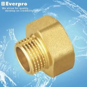 Brass Forged Adapter/Brass Fitting (EFC-NMF14/38)