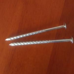 2 Inch Galvanized Twist Nail Screw Shank Nail