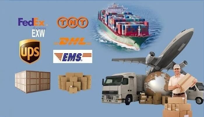 Hex Bolts, Hex Head Screw, Round Head Bolt, Customized Stainless Steel Bots, Valve Bolts, CNC Machining Bolts