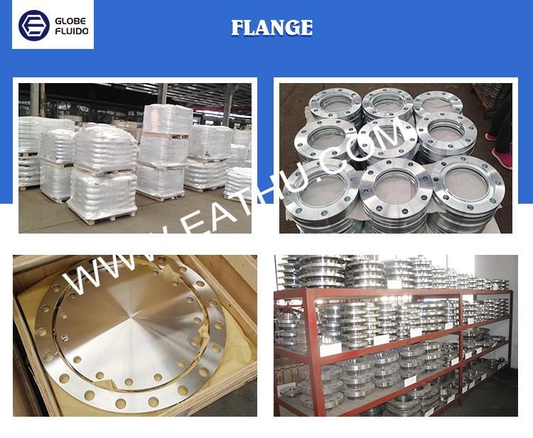 ANSI B16.5 Forged Carbo Steel and Stainless Steel Flanges