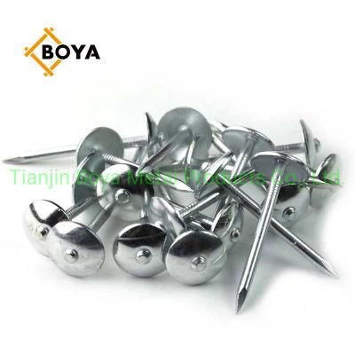Prego Clavos / Galvanized Roofing Nails Plain and Twisted Shank