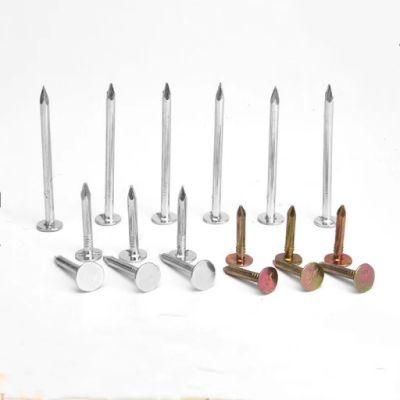 Difference Surface Withe Zinc/Yellow Zinc/Bright/ Roofing Nails/Clout Nails/Felt Nails