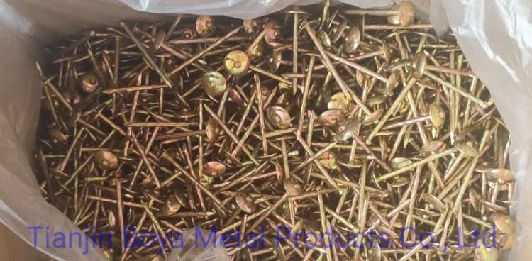 Common Iron Nails/Building Nail/Polished Nail/Galvanized Nail/Wood Nail Factory Price