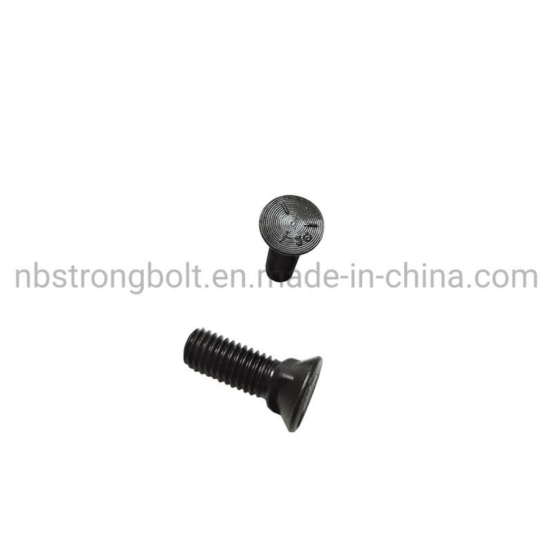 Flat Countersunk Square Neck Bolt Gr. 5