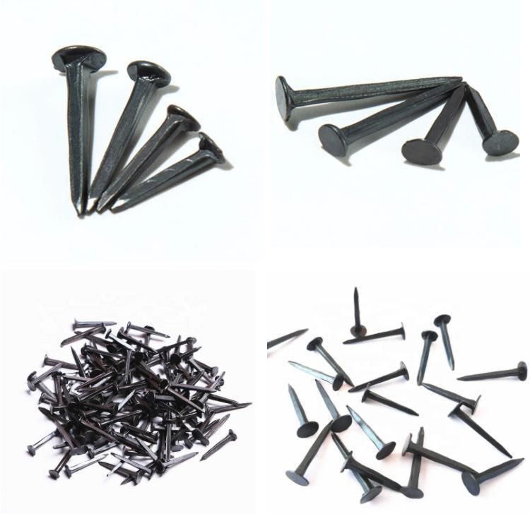 Hardware Other Supplies Stainless Steel Roofing Wire Nail Screw Three Stars Round Head Shoes Tacks Shoe Nails