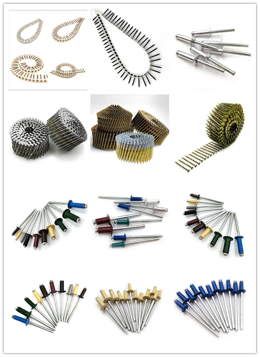China Supplied Bugle Head Self Drilling Tapping Drywall Screw