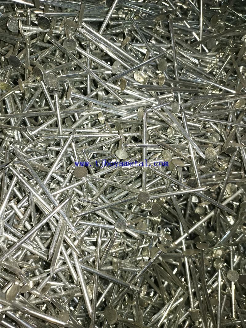Common Round Nail Iron Wire Nails for Wood Building Construction with Flat Head Metal Clout Nails