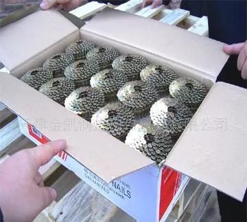 Polished Screw Coil Nail/ Pallet Nail/Pallet Coil Nail