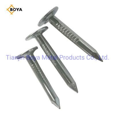 Clouts Nail/Hardware Raw Material Wire Clouts Nail