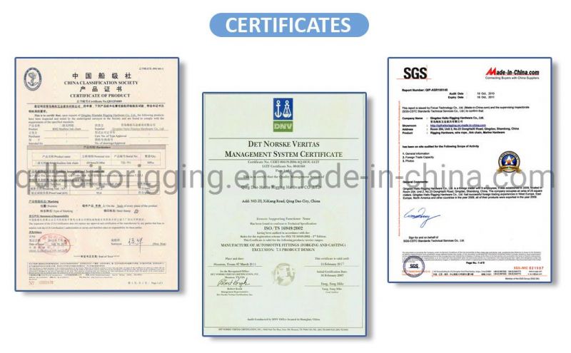 Commercial Standards Stainless Steel 304 / 316 Twisted Shackle with Best Selling Lifting