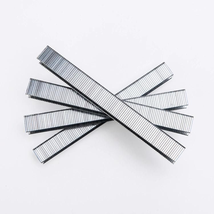 Standard Nails Silver Galvanized Wire Pins Staples
